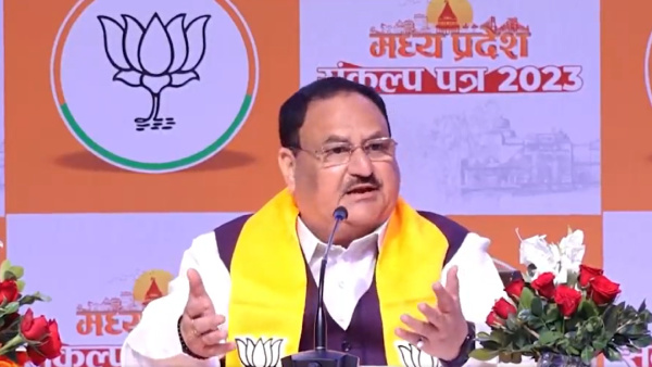 MP Polls: BJP Promises Higher MSP For Wheat Paddy Houses Under ‘Ladli Bahna’ LPG Cylinder At Rs 450