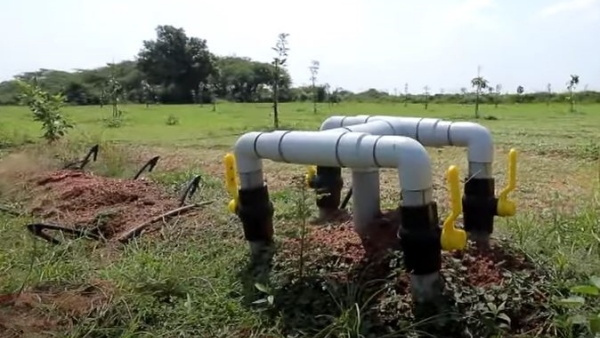 Pudukkottai Barren Lands Transmuted Into High Yielding Fertile Lands, That Too Free Of Cost