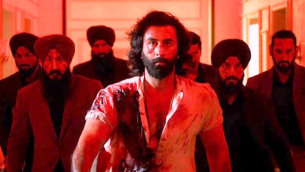 Box Office Collection Of Animal Movie On Day 1: Ranbir Kapoors Gangster Drama Collects Rs 61 Crore Box Office Collection Of Animal Movie On Day 1: Ranbir Kapoors Gangster Drama Collects Rs 61 Crore
