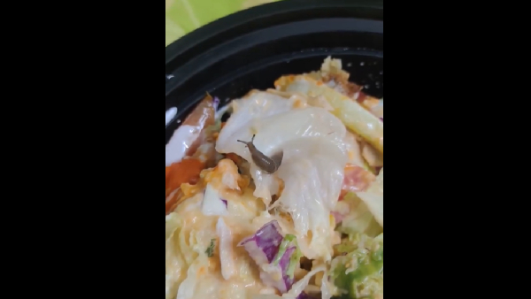 Bengaluru Man Finds Live Snail In Meal Ordered Through Swiggy