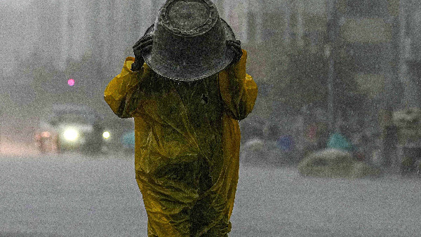 Chennai Rains: Public Holiday Declared; Train, Flight Service Hit Due To Cyclone