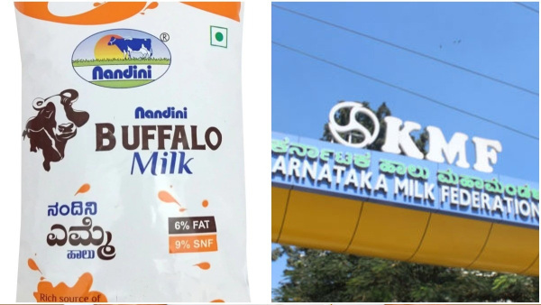 Owing To Demand, KMF To Reintroduce Buffalo Milk to Market: Check Price Details, Launch Date