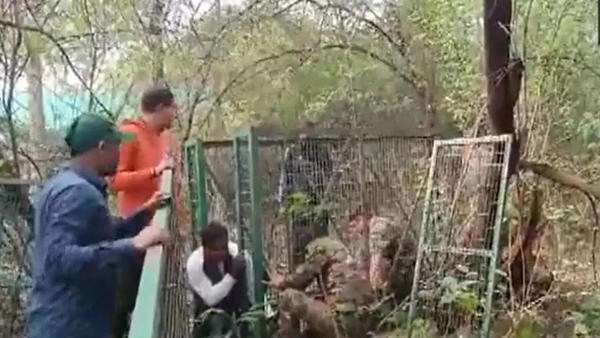 Watch CCTV Video: Leopard On Streets Of Delhi