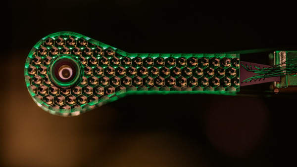 Can Nuclear Fusion Power The Future? Scientists Announce A Major Breakthrough