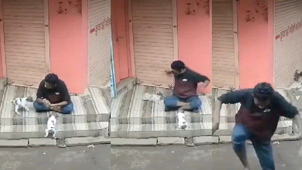 Caught On Camera: Man Brutally Kills Puppy In Guna District Of Madhya Pradesh, Netizens Demand Action