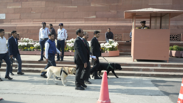 Brain Behind Parliament Security Breach Still On Run, Raids On To Catch Him