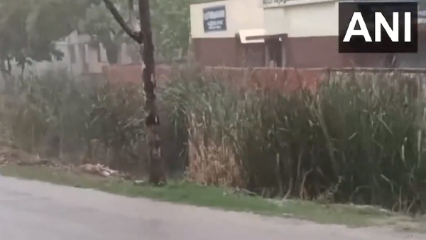 Tamil Nadu Weather Report: Government Shuts Schools And Colleges In 4 Districts Due To Heavy Rain