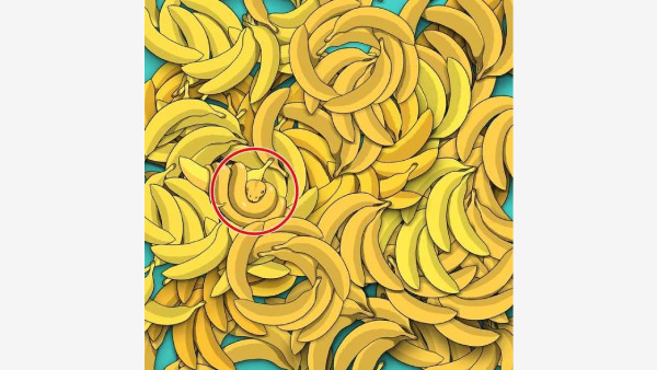 Optical Illusion To Test Your IQ