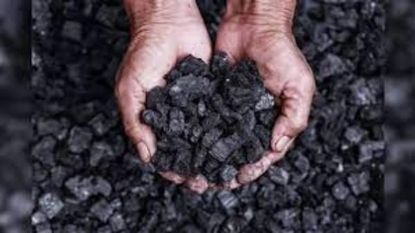 Coal On Your Dinner Plate?