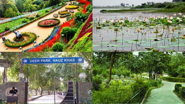 Must-Visit Parks In Delhi