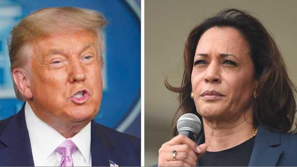 File photo of Donald Trump and Kamala Harris