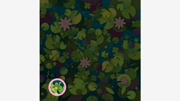 Optical Illusion Challenge