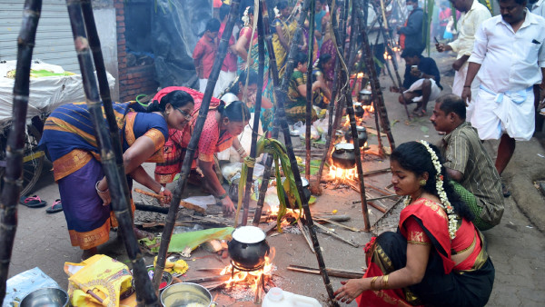 When Is Pongal (Sankranthi) 2024? Check The Date, Puja Timings For This Year
