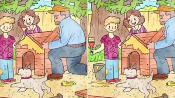 Optical illusion test: Spot the hidden animals