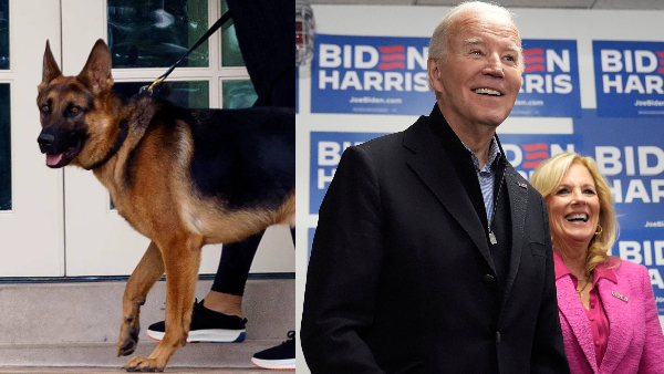 Bidens Dog Commander Bites Secret Service Agents 24 Times - Report