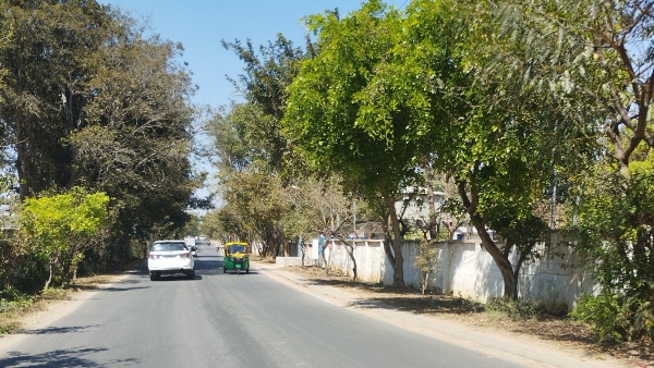 Bengaluru Weather Report: When Will It Rain? Check Latest Forecast For Karnataka