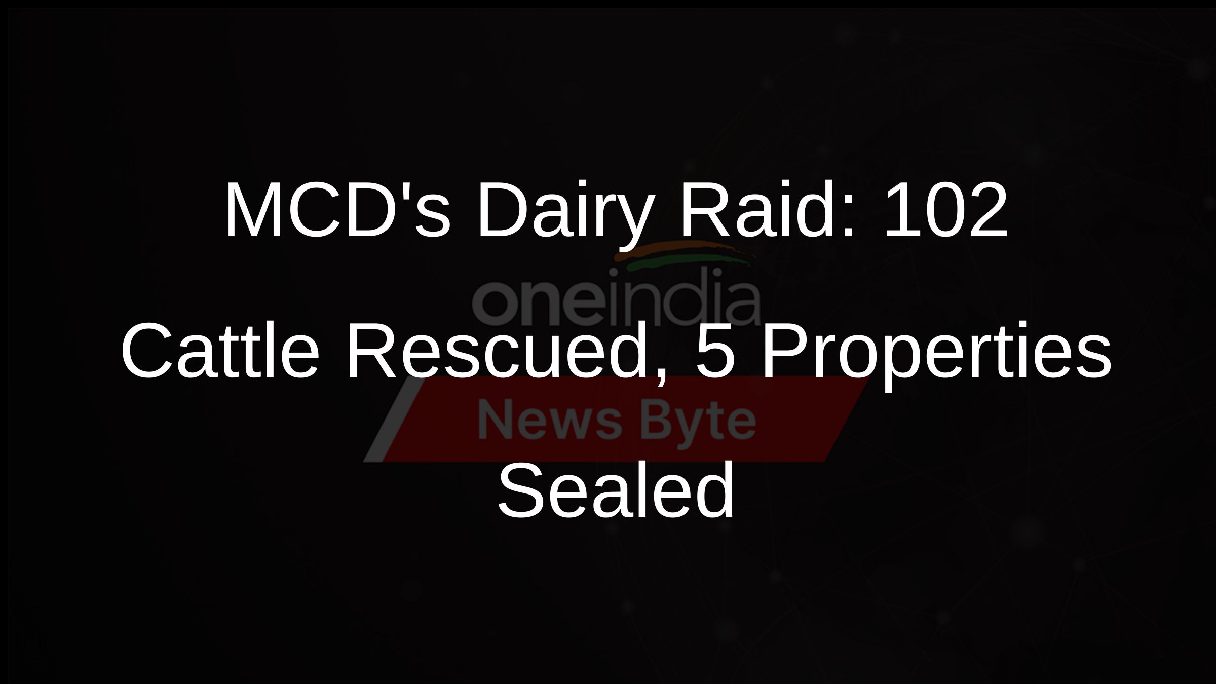 MCDs Dairy Raid: 102 Cattle Rescued, 5 Properties Sealed