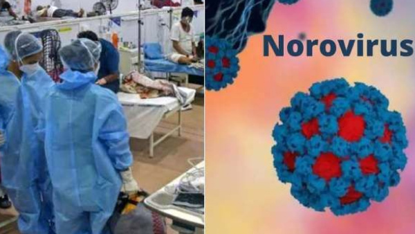 Norovirus Cases Spike Across US
