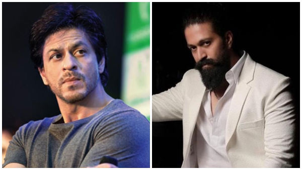 Fact Check: Has Yash Officially Confirmed Shah Rukh Khans Cameo In Toxic? Heres The Truth