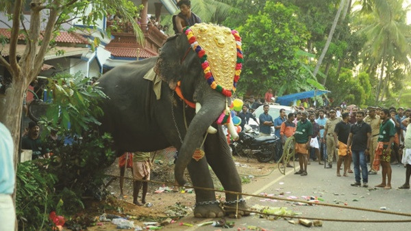 Lok Sabha Election 2024