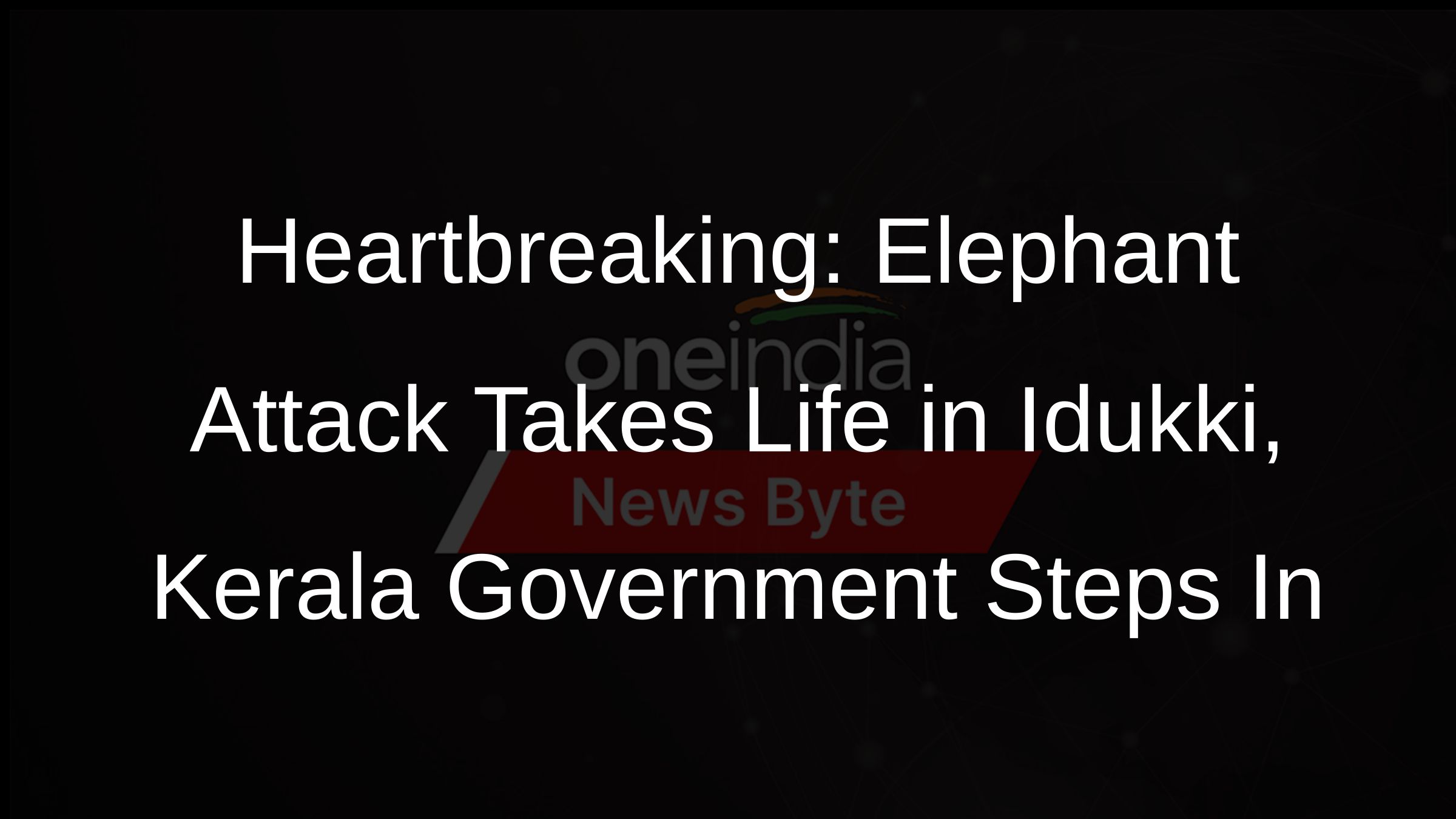 Heartbreaking: Elephant Attack Takes Life in Idukki, Kerala Government Steps In