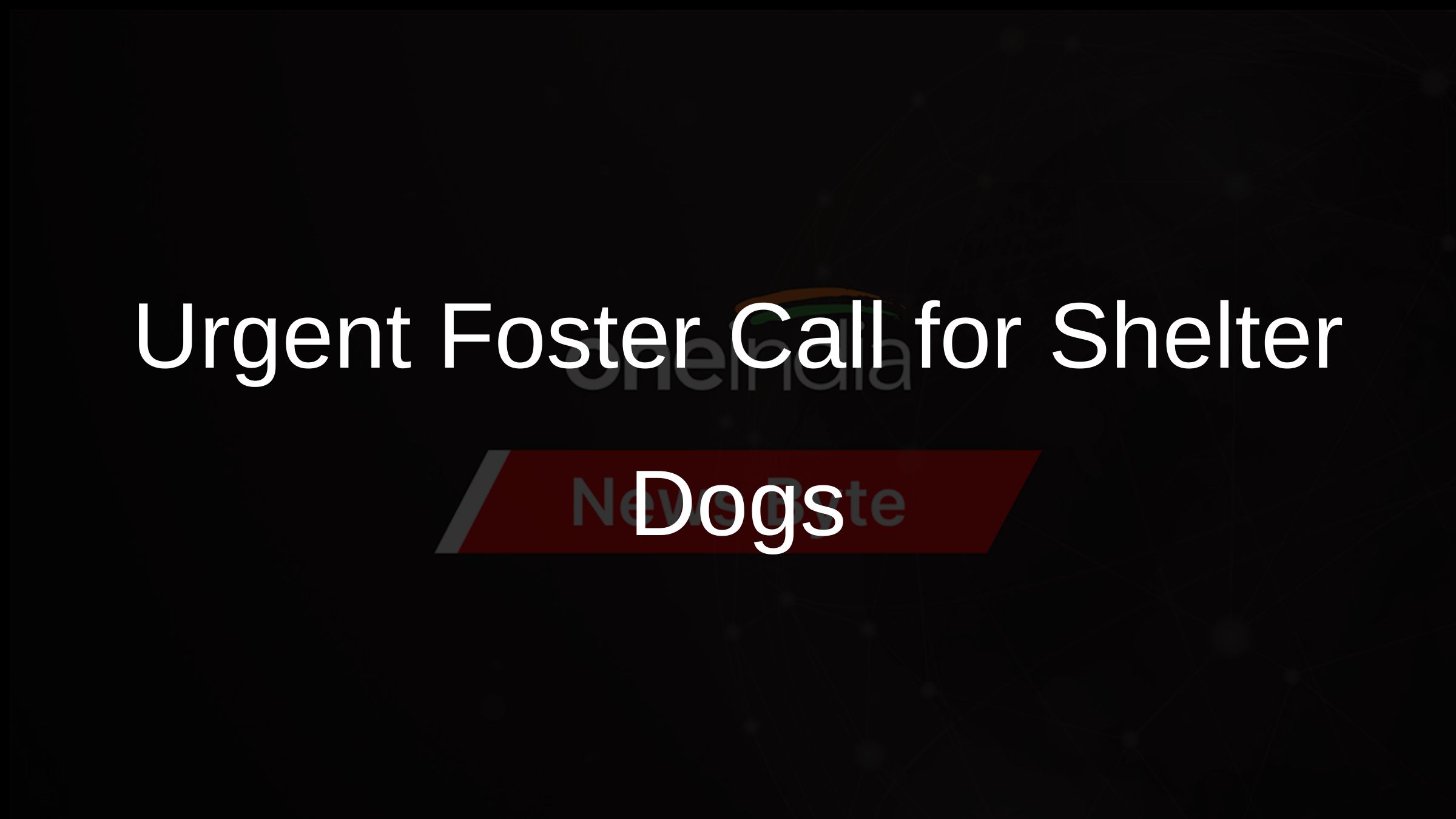 Urgent Foster Call for Shelter Dogs Urgent Foster Call for Shelter Dogs