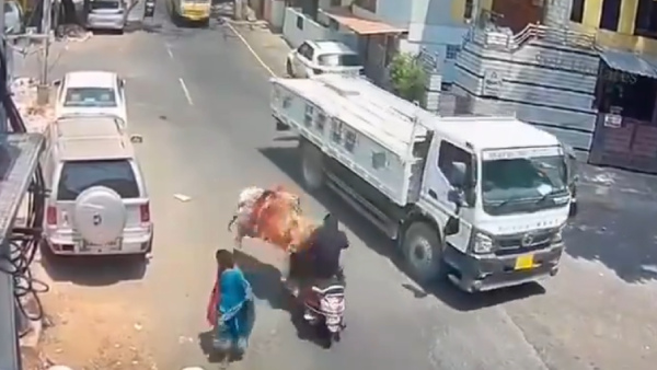 Bull Rampage in Bengaluru