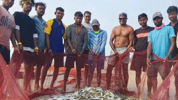 BJP Launches Fisheries Development Plan In 2024 Election Manifesto - Check Out 7 Guarantees