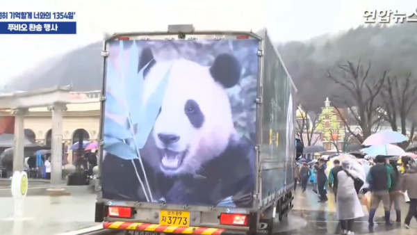 South Korea Says Goodbye To Fu Bao South Korea Says Goodbye To Fu Bao