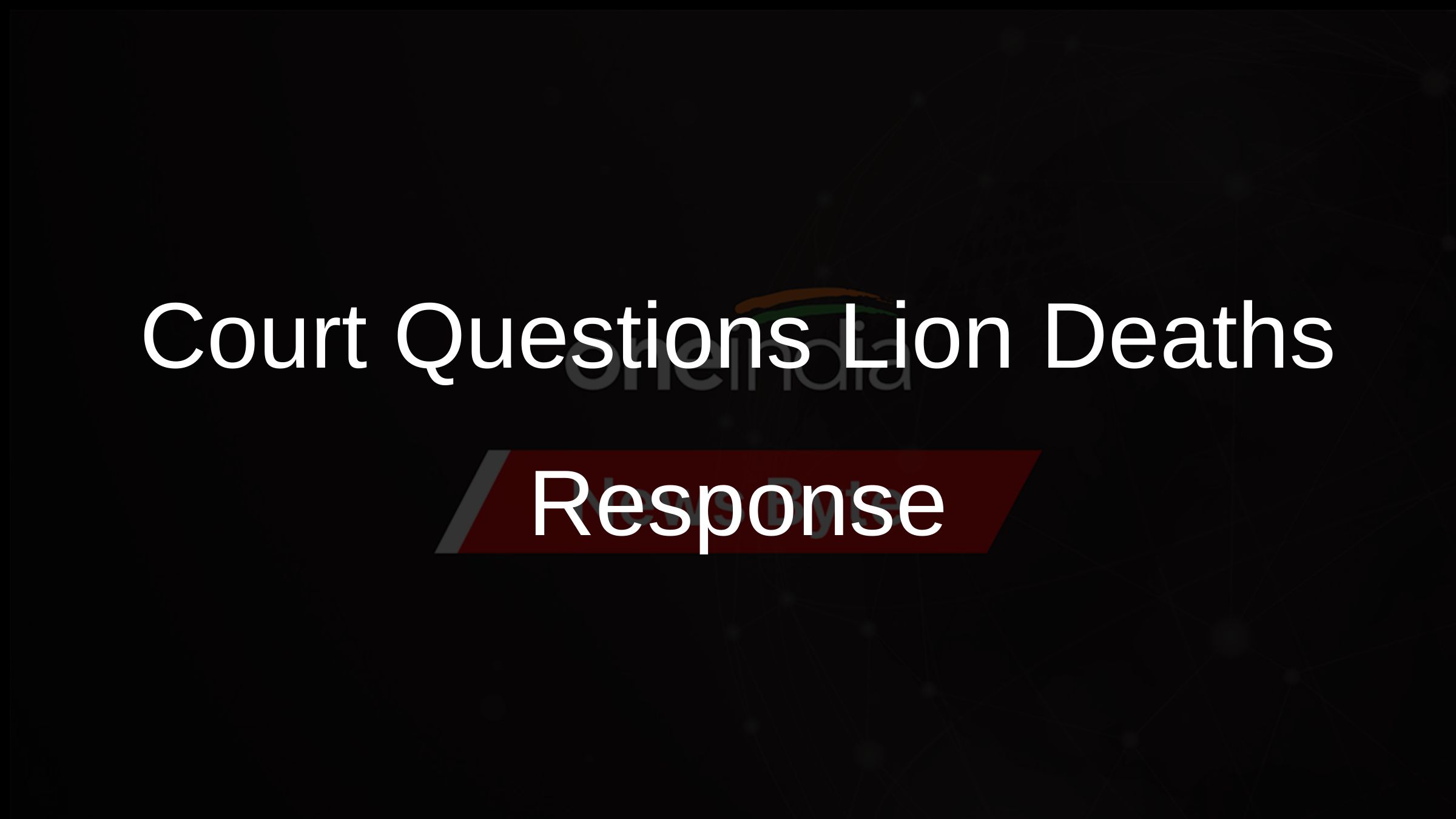 Court Questions Lion Deaths Response