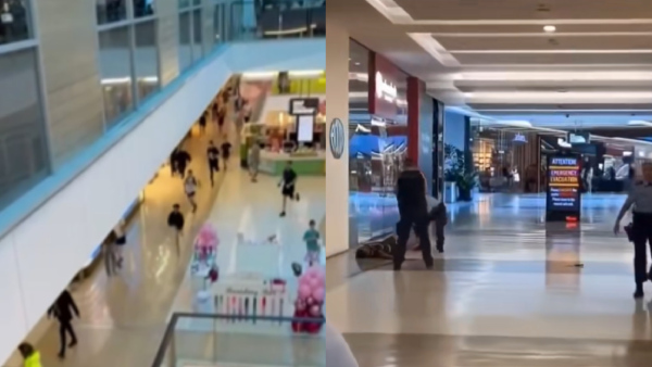 Sydney Stabbing Spree Sydney Stabbing Spree