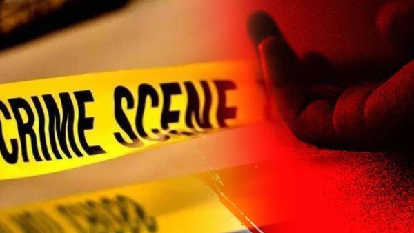 Indian-Origin Girl Dies In US