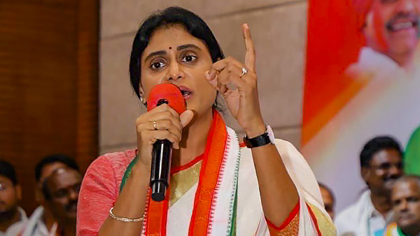 Congress Fields Y S Sharmila From Kadapa