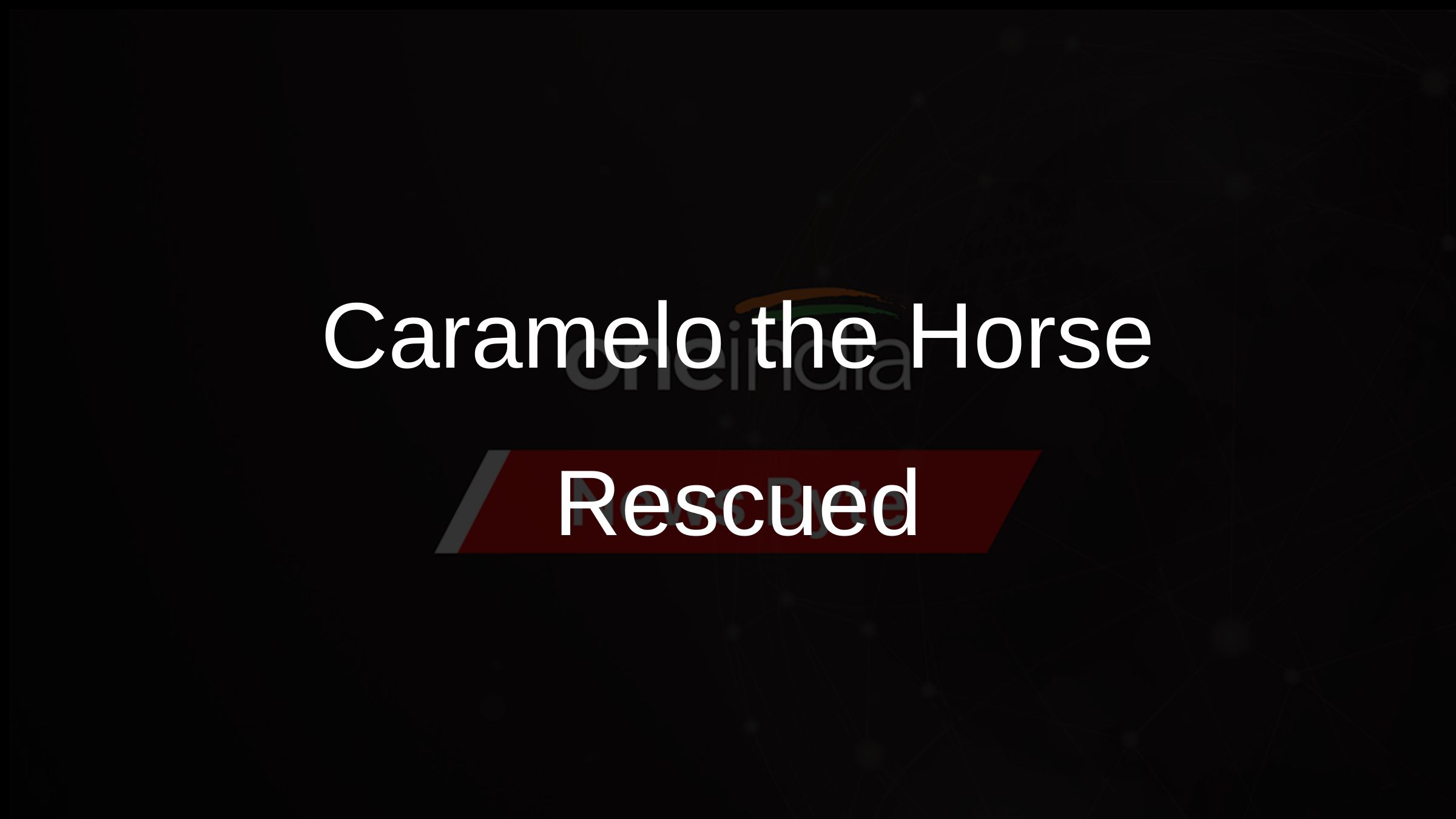 Caramelo the Horse Rescued