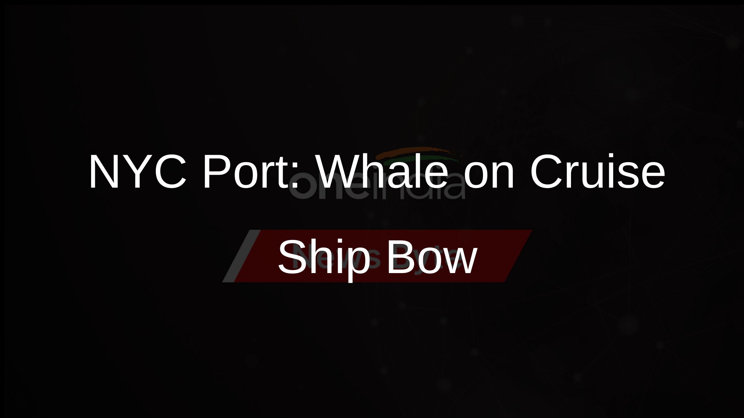 NYC Port: Whale on Cruise Ship Bow