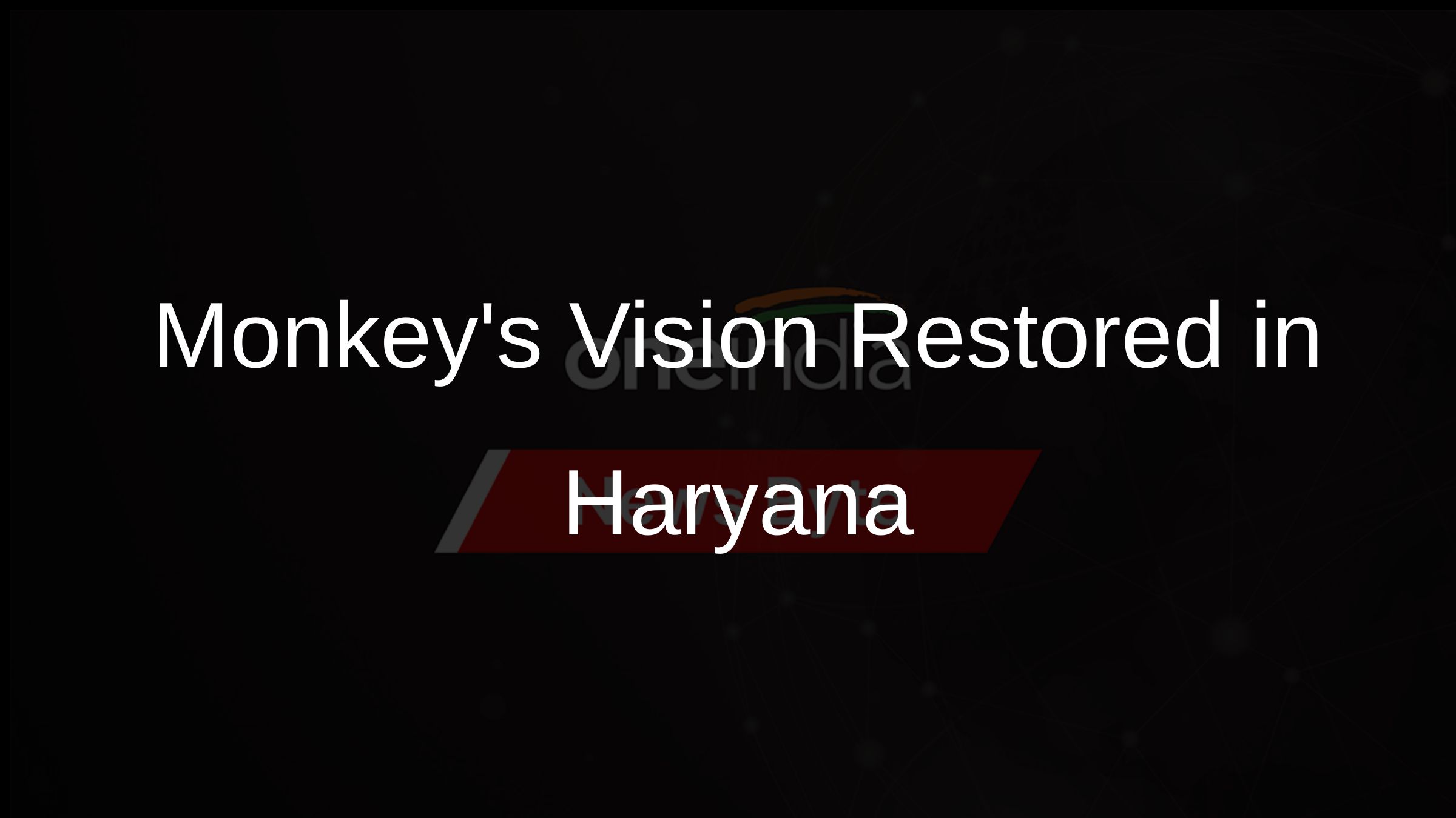 Monkeys Vision Restored in Haryana Monkeys Vision Restored in Haryana