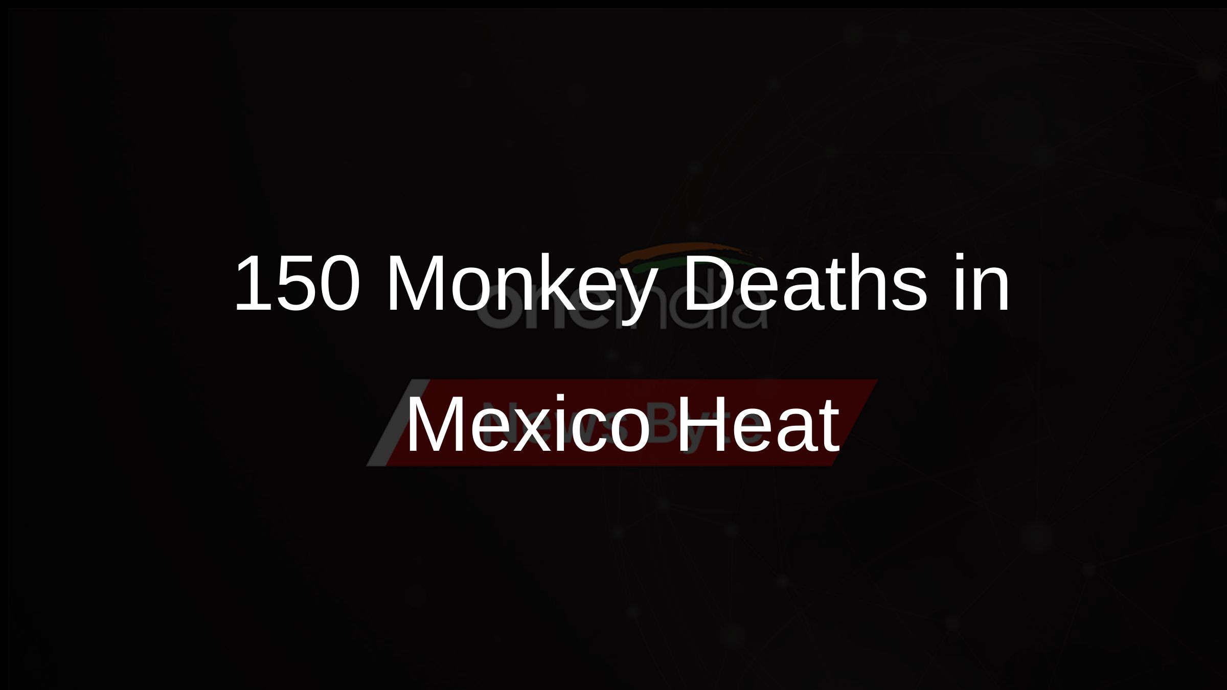 150+ Monkey Deaths in Mexico Heat 150+ Monkey Deaths in Mexico Heat