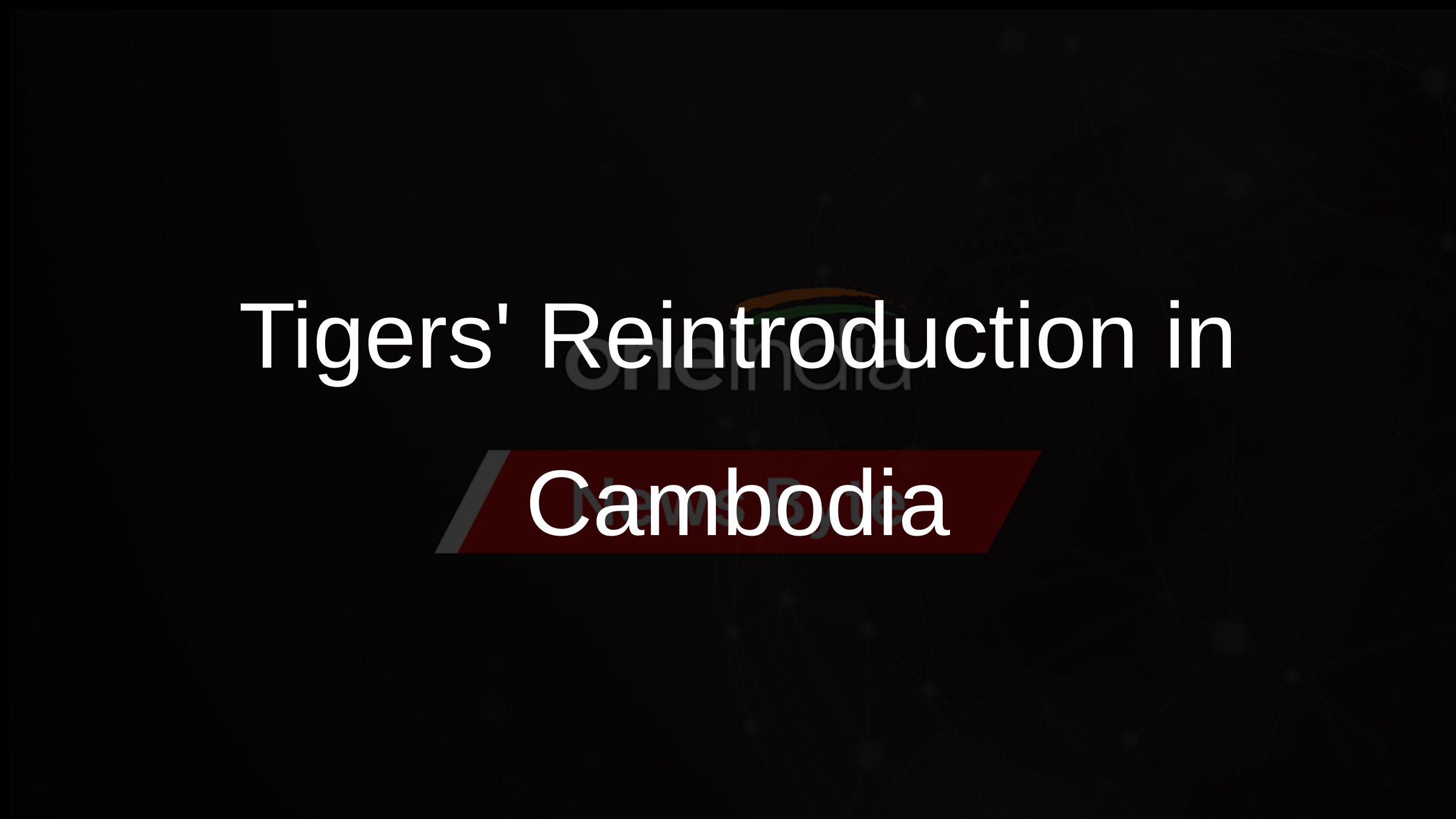 Tigers Reintroduction in Cambodia