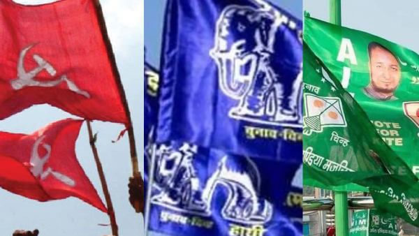 BSP AIADMK BJD And More The Regional Parties In 2024 Lok Sabha Polls