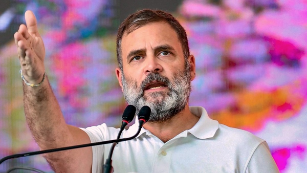 Pakistani Leader Praises Rahul Gandhi s Speech BJP Hits Out