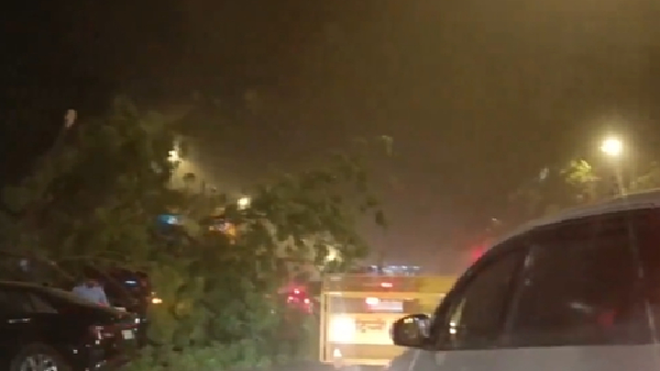 Massive Duststorm Hits Delhi-NCR Safety Measures Urged Amid Strong Winds