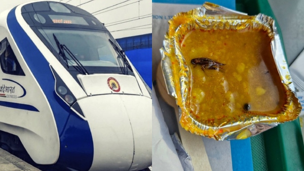 WATCH Dead Cockroach Found In Vande Bharat Meal Checkout What IRCTC Said