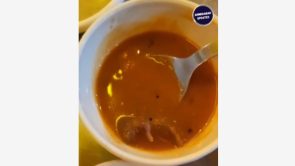 WATCH Video Dead Rat Found In Sambar At Ahmedabad s Restaurant