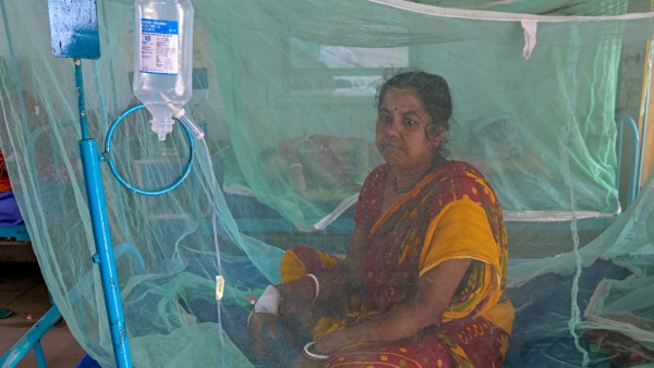 Bengaluru Dengue Alert 1 246 Cases Reported In The First 20 Days Of This Month