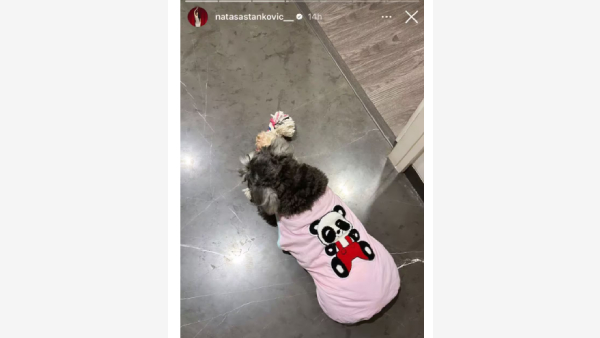 Hardik Pandya Natasa Stankovic Divorce Saga Ends Serbian Model Drops Major Hint