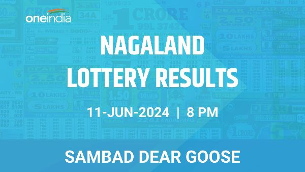 Results of the Nagaland State Lottery Dear Goose for June 11 at 8 PM