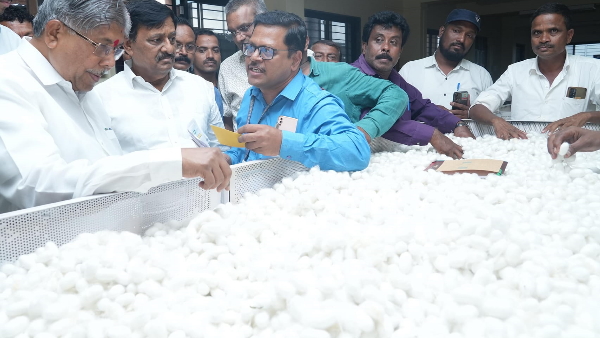 First Silk Centre Opens in Maharashtra s Hiraj