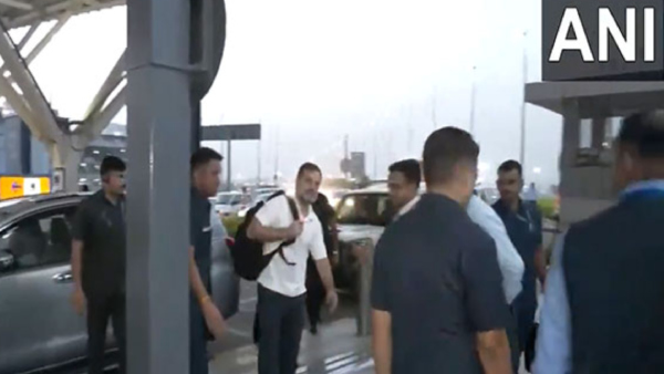 Congress leader Rahul Gandhi Congress leader Rahul Gandhi