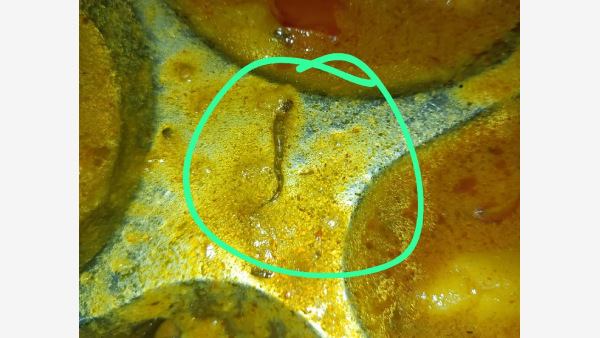 Bihar Dead Snake Found in Mess Food