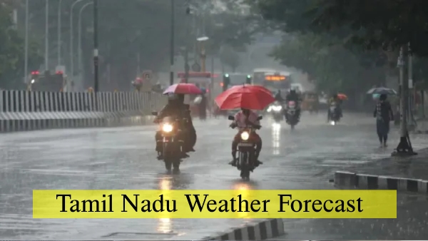 Tamil Nadu Weather Update Chinnakalar Records 20 CMS Rains Heavy Downpour Alert Issued